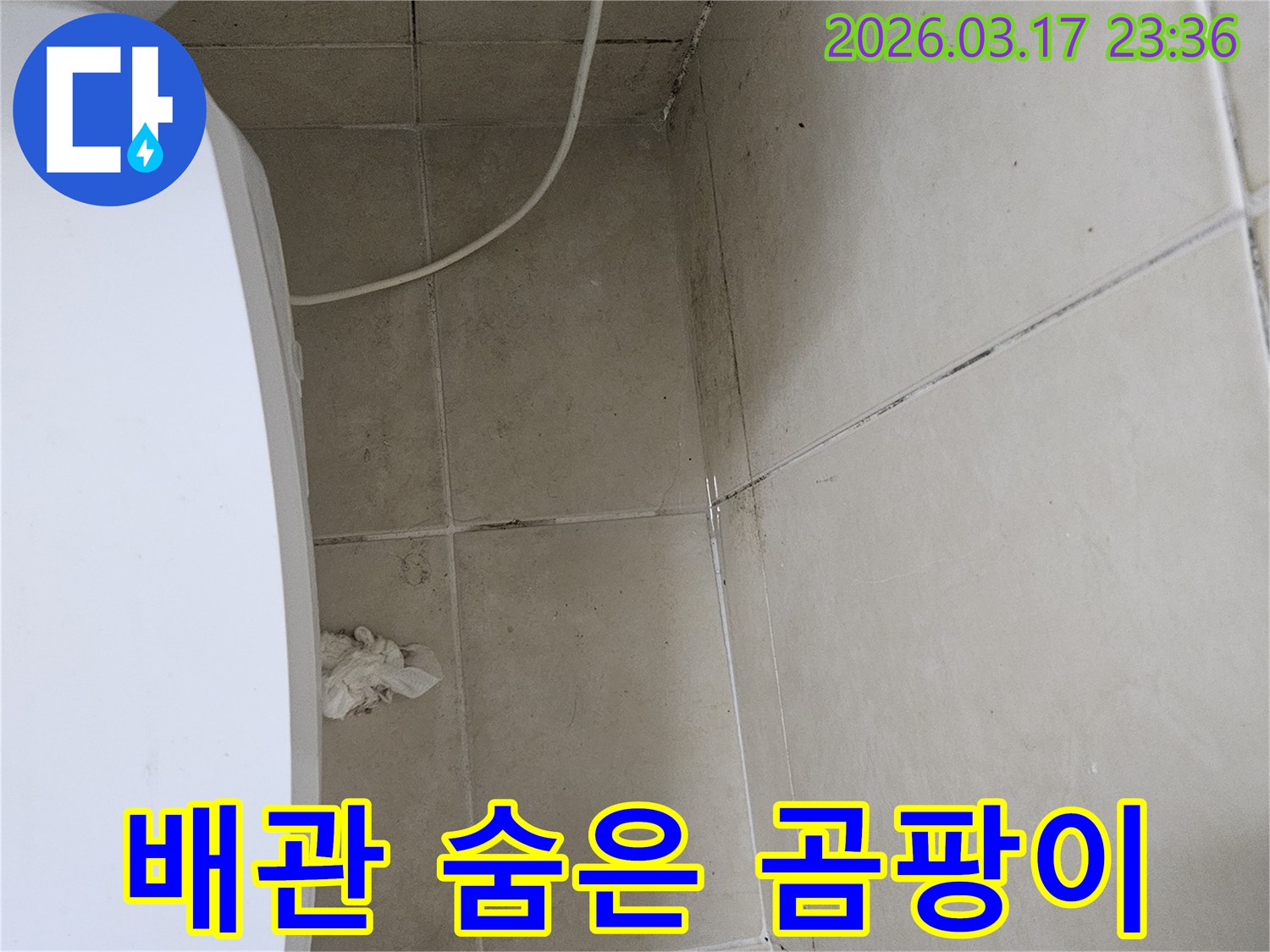 이-이미지는-벽면을-따라-지나가는-흰색-배관-주변에-다시-발생한-검은-곰팡이를-보여주며-이는-기존-보수-후에도-배관-누수가-지속되고-있음을-시사합니다