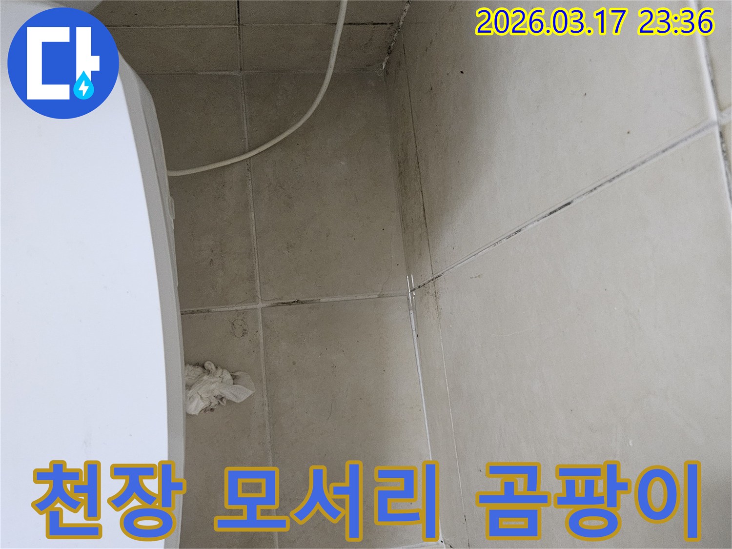 이 이미지는-천장-모서리-부분에-집중적으로-발생한-검은-곰팡이와-오염을-보여주며-이는-누수로-인한-지속적인-습기-침투가-원인임을-시사합니다