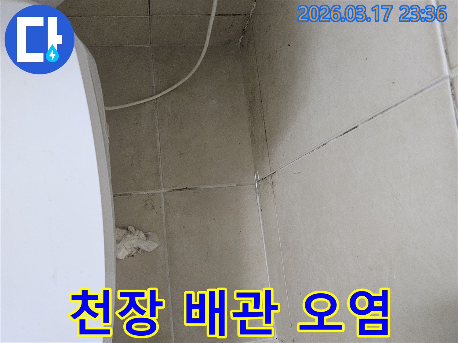 이 이미지는-천장-타일과-벽면-모서리에-나타난-검은-오염과-곰팡이를-보여주며-이는-배관-누수로-인한-지속적인-물샘-현상을-의미합니다