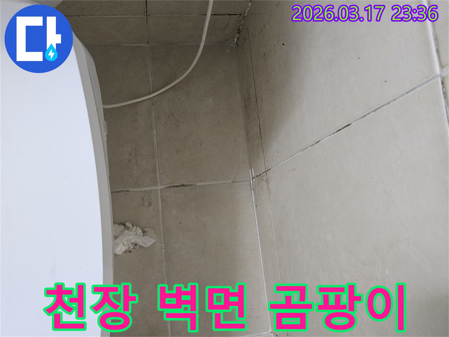 이-이미지는-천장과-벽면의-이음새와-모서리에-발생한-광범위한-검은-곰팡이를-보여주며-이는-누수로-인한-지속적인-습기-침투를-의미합니다