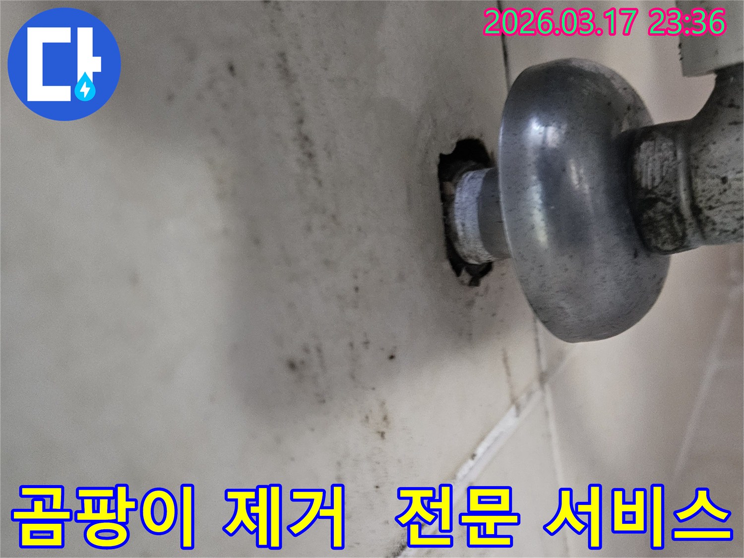 천장-배관에서-물이-새어-나와-생긴-곰팡이와-얼룩을-전문적으로-제거하는-모습