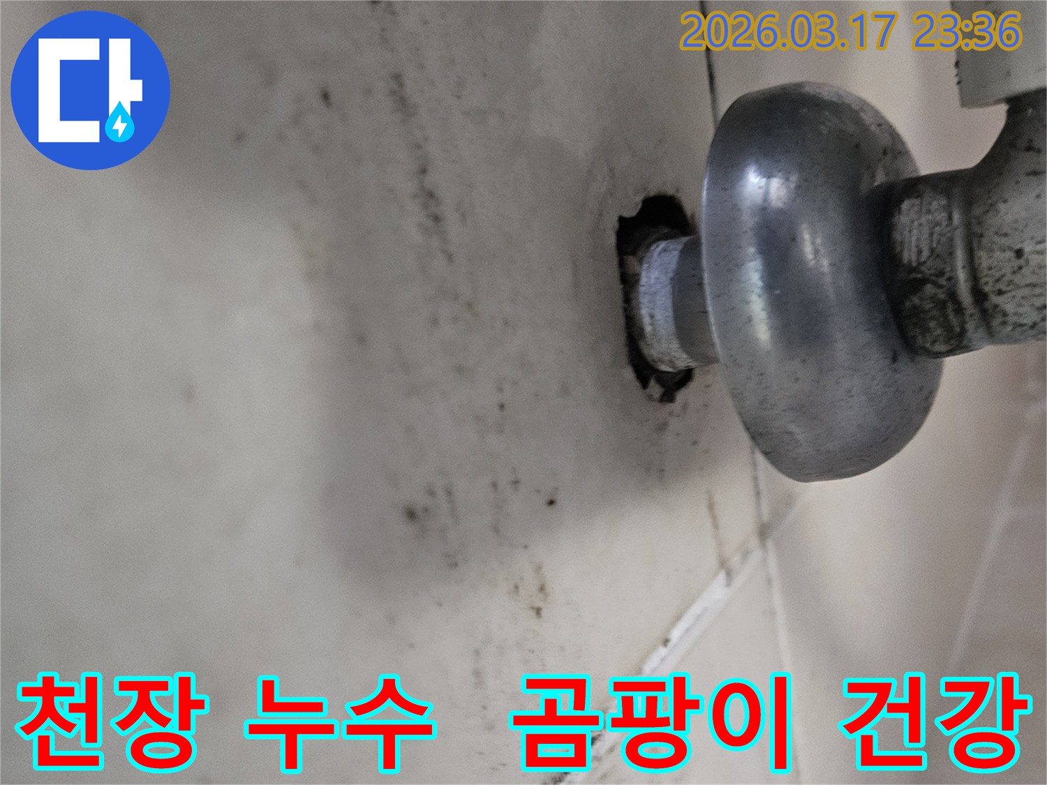 천장-배관에서-발생한-누수로-인해-오염된-벽면과-곰팡이가-번식하여-건강까지-위협하는-배관-모습