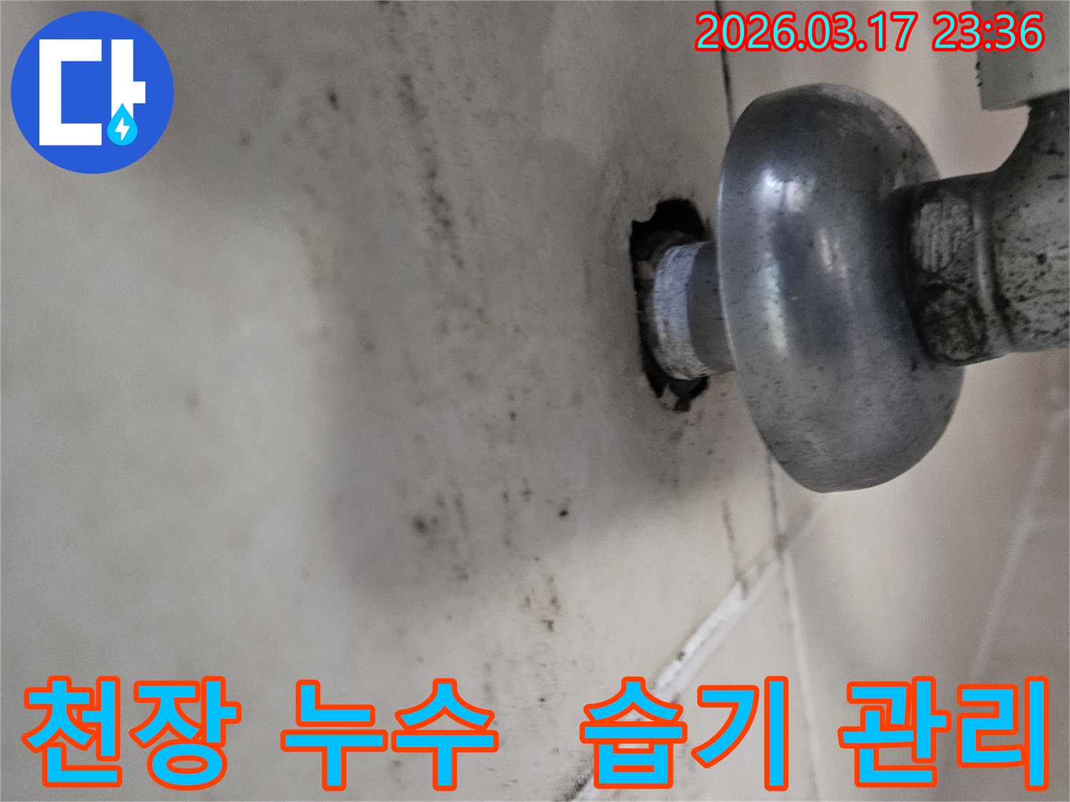 천장-배관에서-발생한-누수로-인해-오염된-벽면과-여름철-습기-관리가-필요한-배관-모습