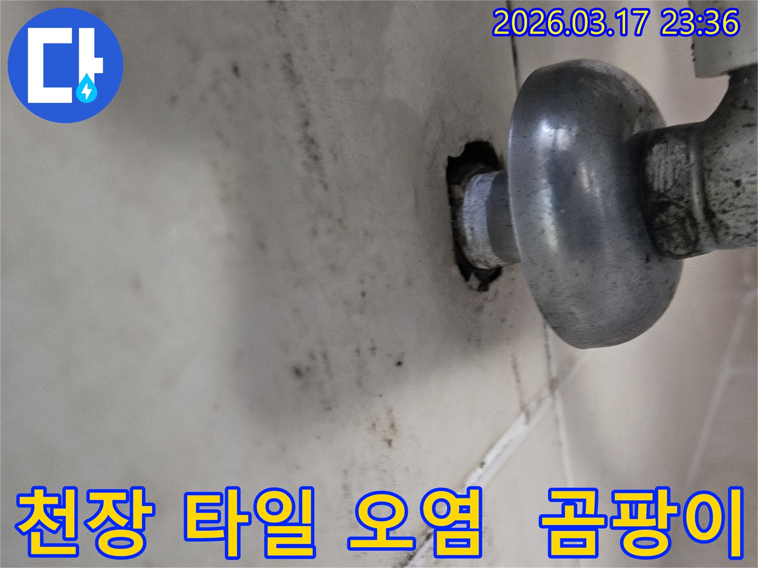 천장-타일이-누수로-인해-심하게-변색되고-곰팡이가-번식한-모습