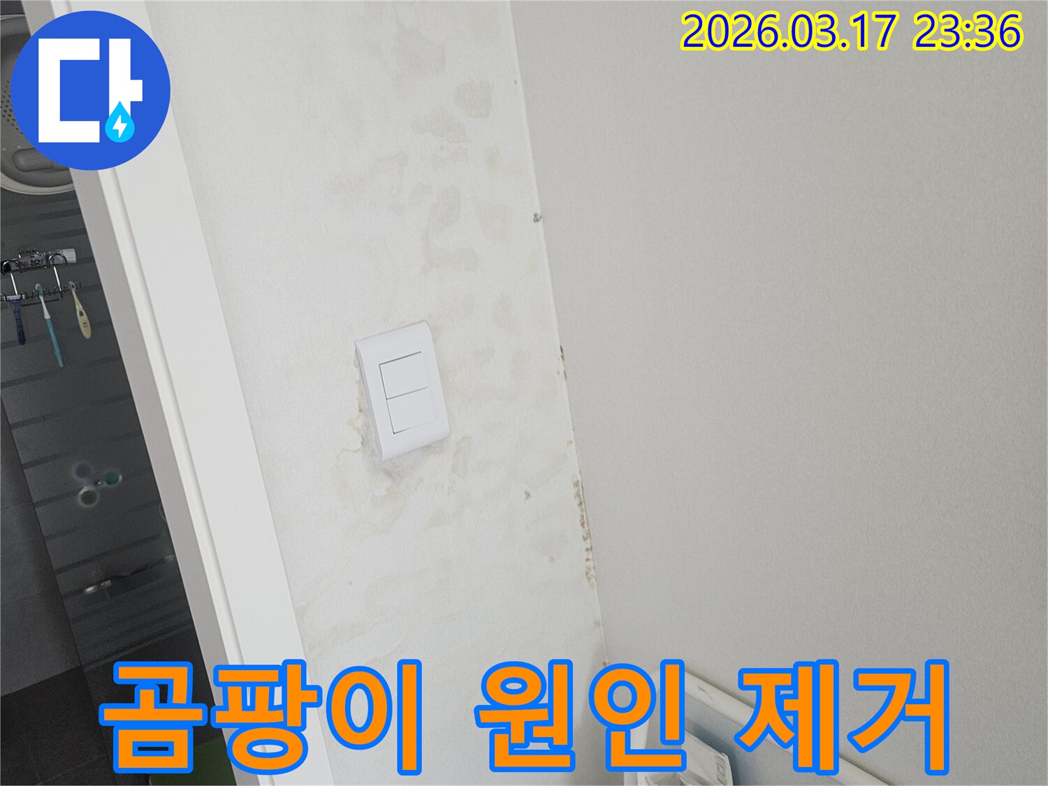 천장과-벽면에-발생한-곰팡이의-근본적인-누수-원인을-정밀하게-탐지하고-제거하는-모습입니다.