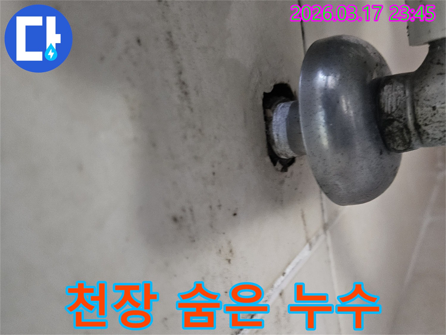 천장에서 발견된 누수 흔적-오랜 기간 방치되어 곰팡이가 심하게 번져있습니다
