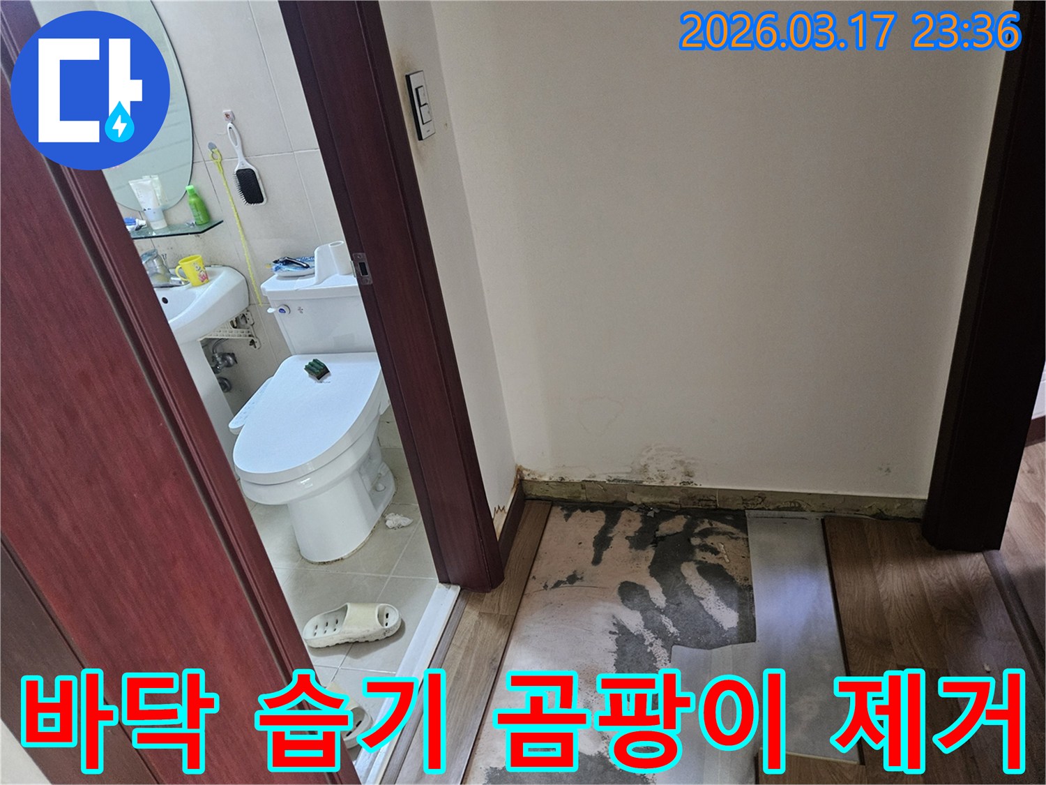화성-병점 빌라의-화장실 입구 바닥에-누수로 인한 습기와-곰팡이가 발생하여-바닥재가 제거된-현장 모습입니다