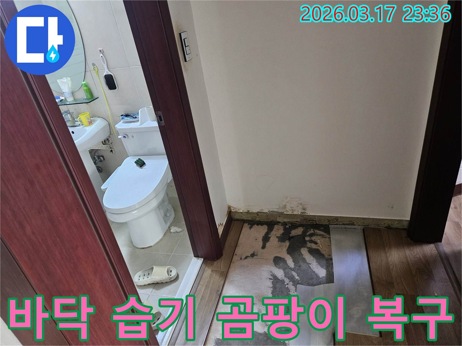 화성 병점 빌라의-화장실 입구 바닥에-누수로 인한 습기와-곰팡이가 발생하여-바닥재가 제거된-현장 사진입니다