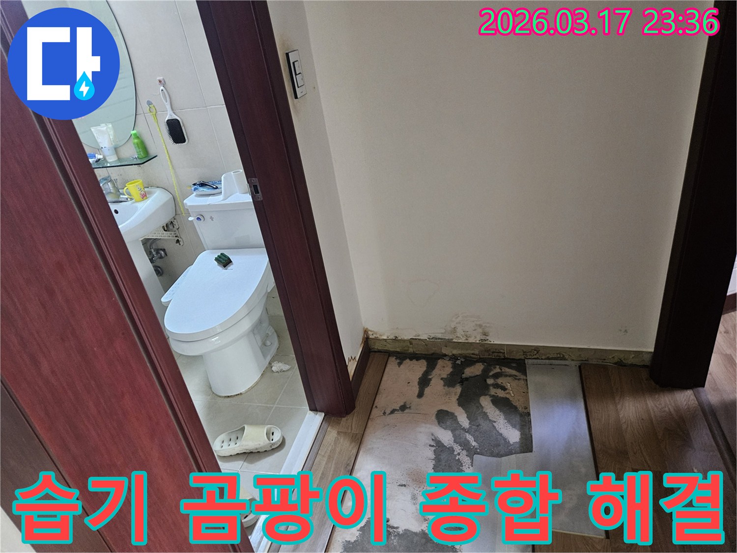 화성-병점 상가-화장실 입구 바닥에-누수로 인한 습기와-곰팡이가 발생하여-바닥재가 제거된-현장 모습입니다