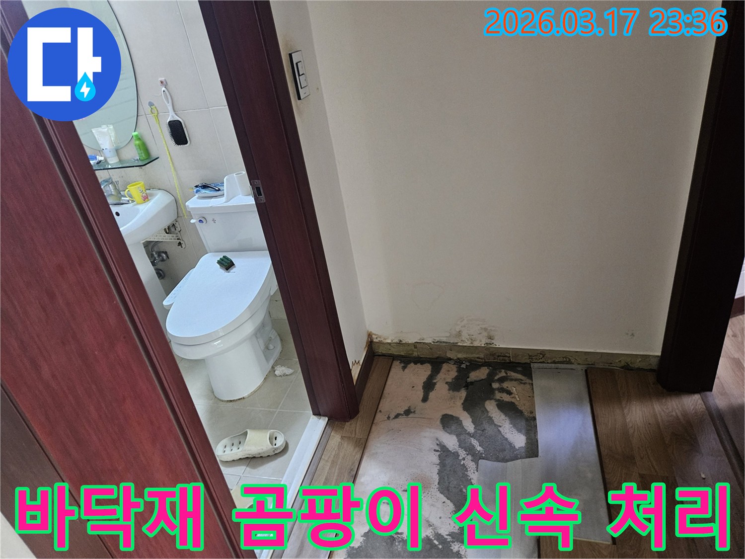 화성 병점 상가의-화장실 입구 벽면 하단에-누수로 인한 곰팡이가-심각하게 발생하여-바닥재가 제거된-현장 사진입니다