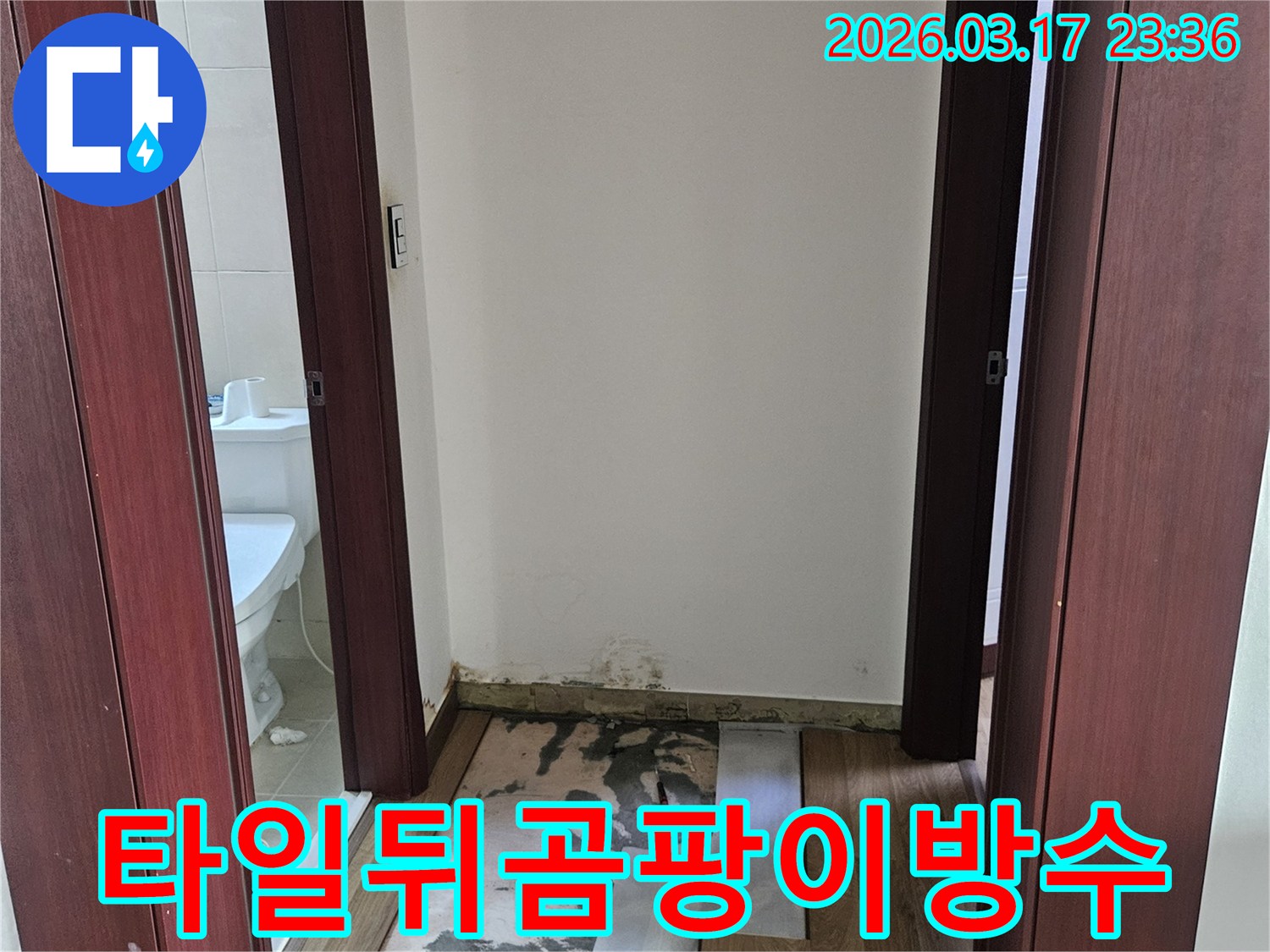 화성시 빌라 욕실 누수 현장에서-타일 뒤 숨겨진 곰팡이와 습기를-제거하고 방수 재시공을 위해-벽면을 개방한 모습입니다.