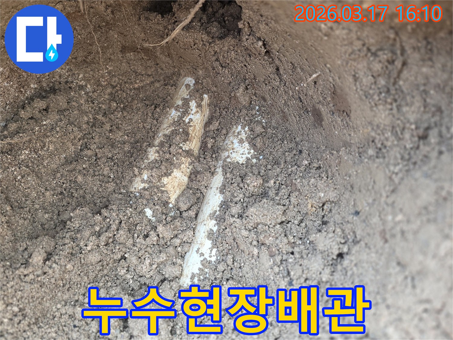 누수 공사를 위해-땅속에 묻힌 배관을-조심스럽게 노출시킨 장면입니다.