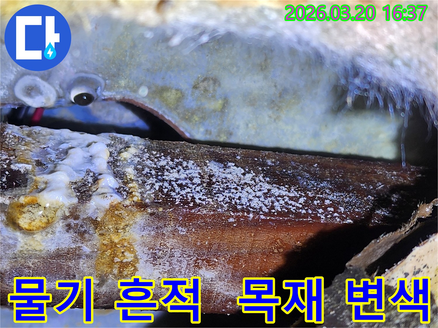 지속적인 물샘으로-목재가 변색되고-곰팡이가 피어난-심각한 누수 피해-현장 모습.