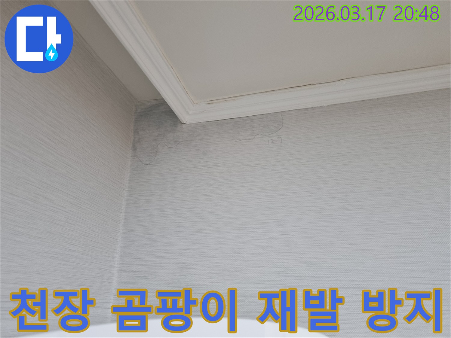 천장과 벽면 코너에 곰팡이가 발생한 모습-누수 전문가가 곰팡이 제거와 재발 없는 시공을 진행할 현장입니다