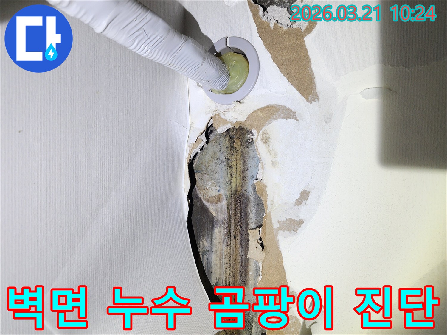 누수로-인해-벽지가-손상되고-곰팡이가-피어있는-빌라-벽면에-누수-탐지-장비가-삽입된-모습