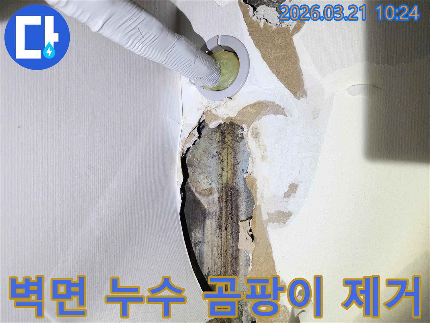 누수로-인해-벽지가-손상되고-곰팡이가-피어있는-아파트-벽면에-누수-탐지-장비가-삽입된-모습