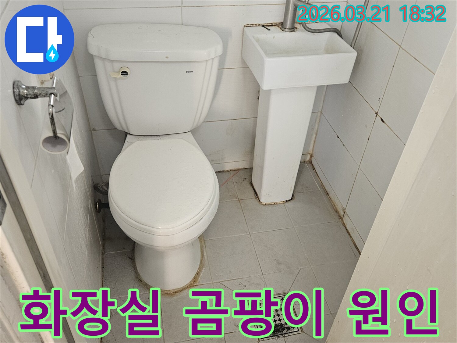 이 이미지는 강북구 화장실에 만연한 곰팡이와 물때를 보여주며-이는 지속적인 누수로 인한 습기-과다의 명백한 증거입니다.