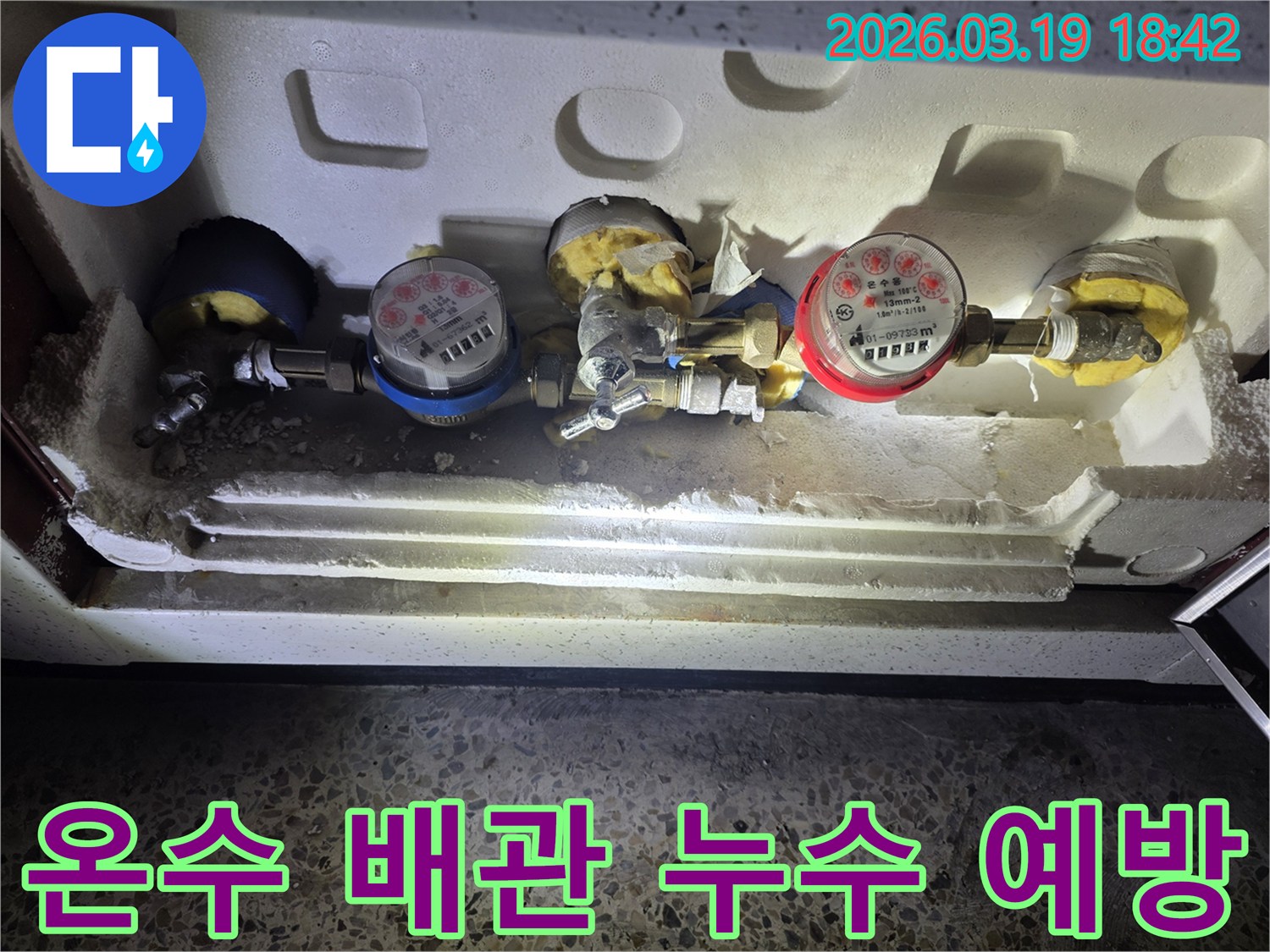 이 이미지는-양천구 목동 주택에서-온수 배관 누수 예방을 위해-수도계량기 주변을-점검하고-보수하는-현장 상황을-보여줍니다