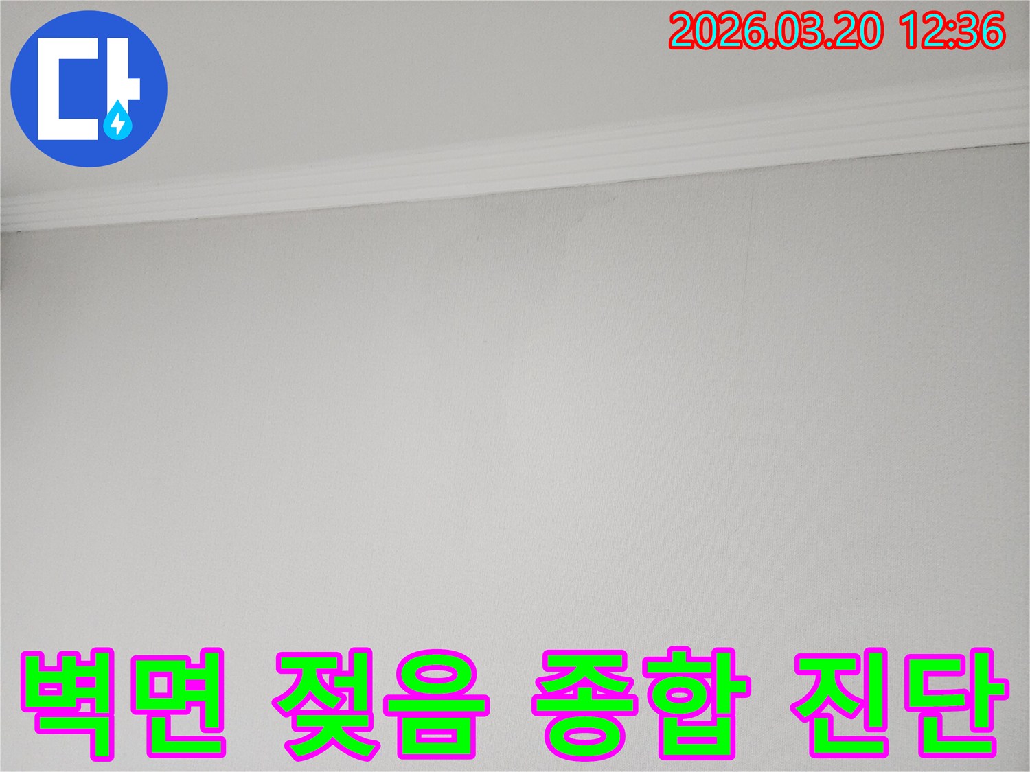 벽면-상단에-나타난-젖음-현상을-통해-누수-문제에-대한-종합적인-진단을-내리는-모습