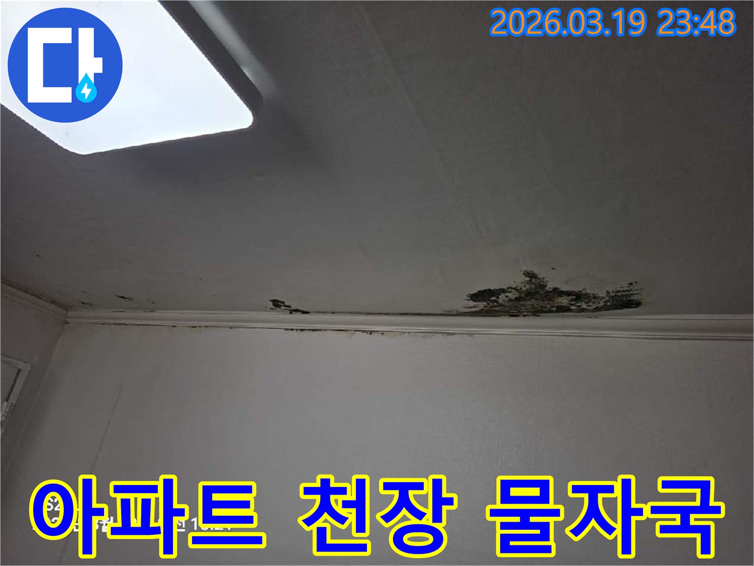 천장-마감재가-손상되고-물자국이-선명하게-남은-누수-현장-사진