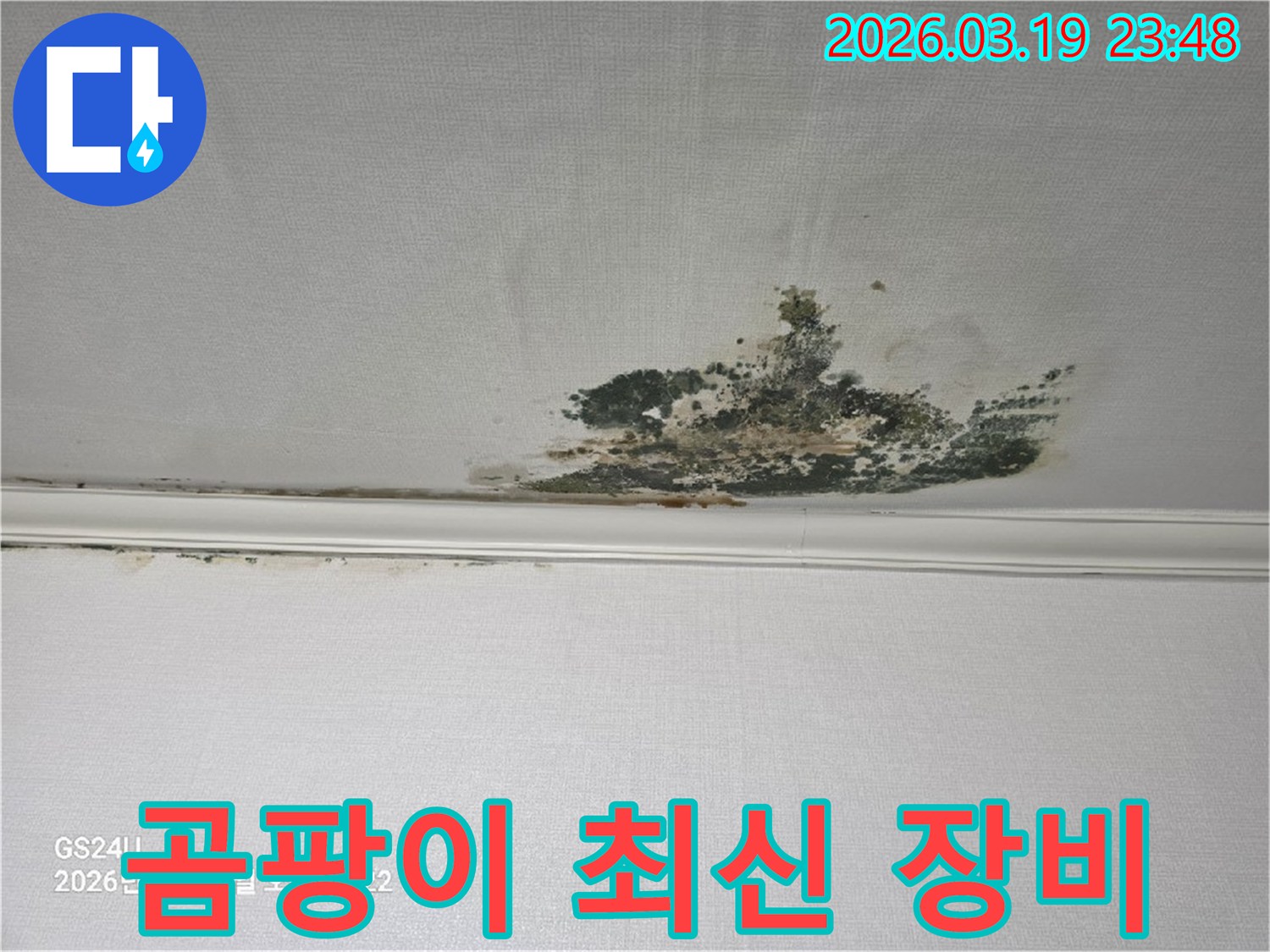 천장-벽지에-발생한-심각한-누수-곰팡이-오염-현장으로-최신-장비를-통한-진단이-필요한-상태