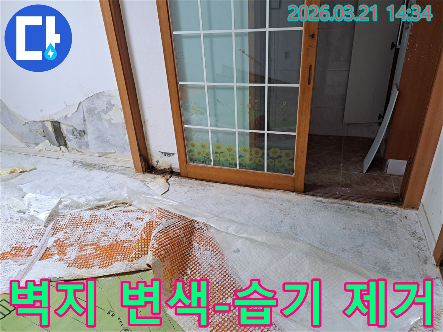 금천구 독산동에서 발생한 누수로-벽지 변색과 습기가 가득 찬 벽면과-누수 보수 및 습기 제거를 위한-바닥 보양 작업이 완료된 현장입니다.