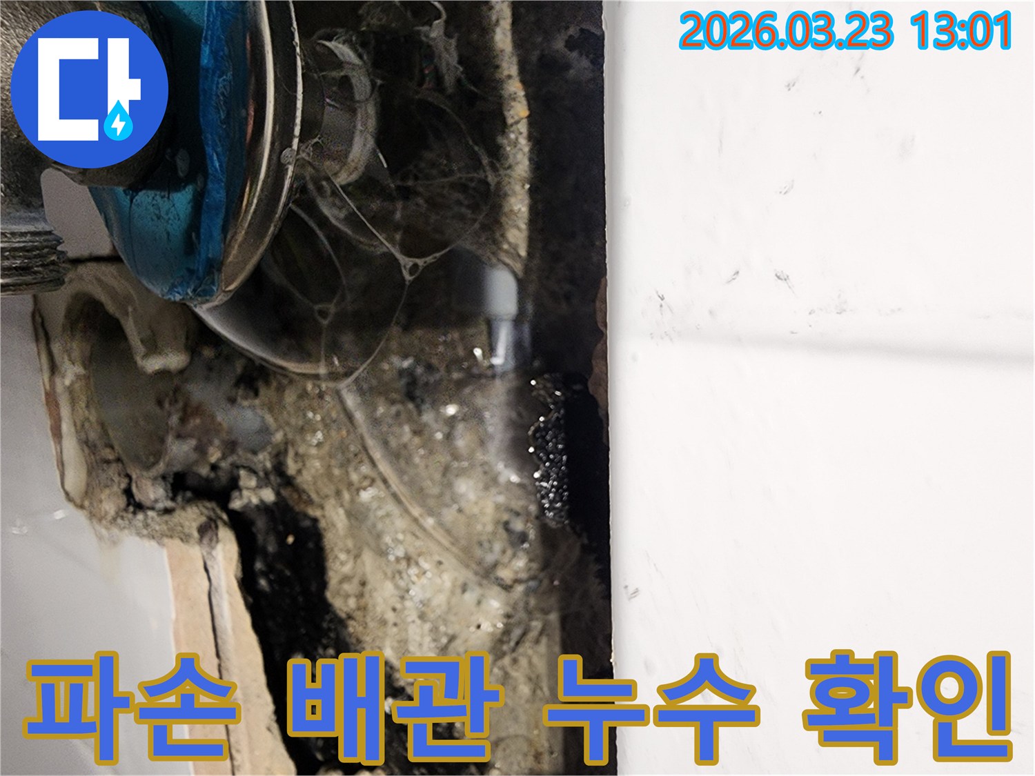 상가-건물-내부-벽면에서-발견된-배관-파손-누수-현장