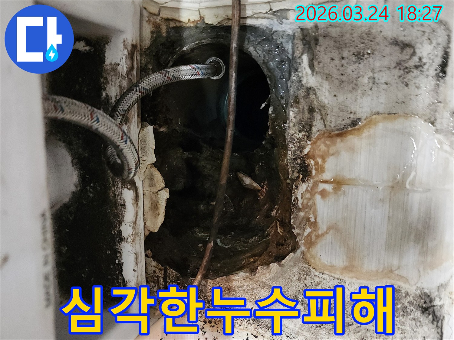 오랜-기간-방치된-누수로-인해-배관-주변에-심한-곰팡이와-부식이-발생한-상황을-보여주는-사진입니다-즉각적인-조치가-요구됩니다.