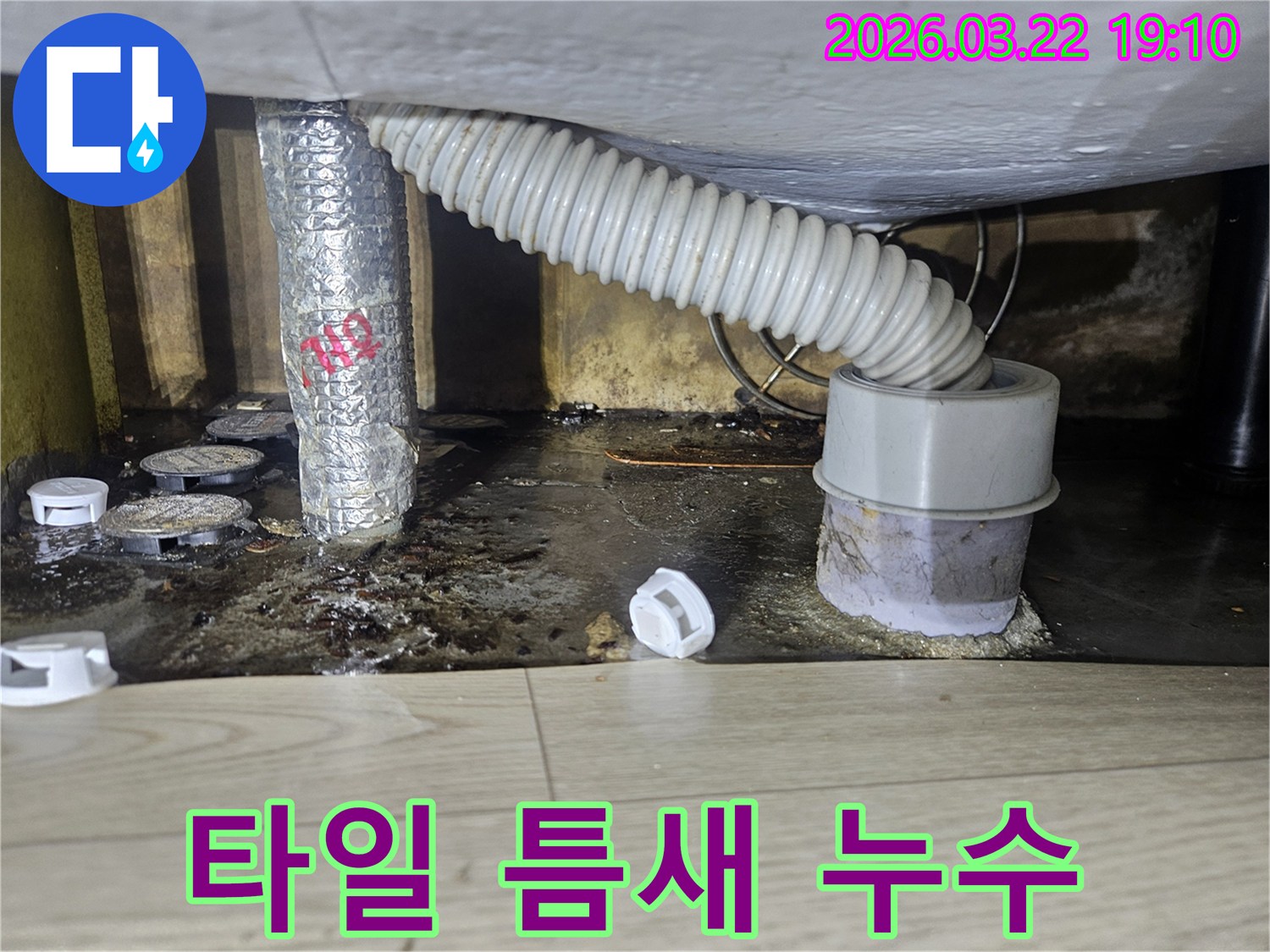 배수관 주변 바닥 타일 틈새에서-누수가 발생하여-오염된 현장을-전문가가 진단하는 모습
