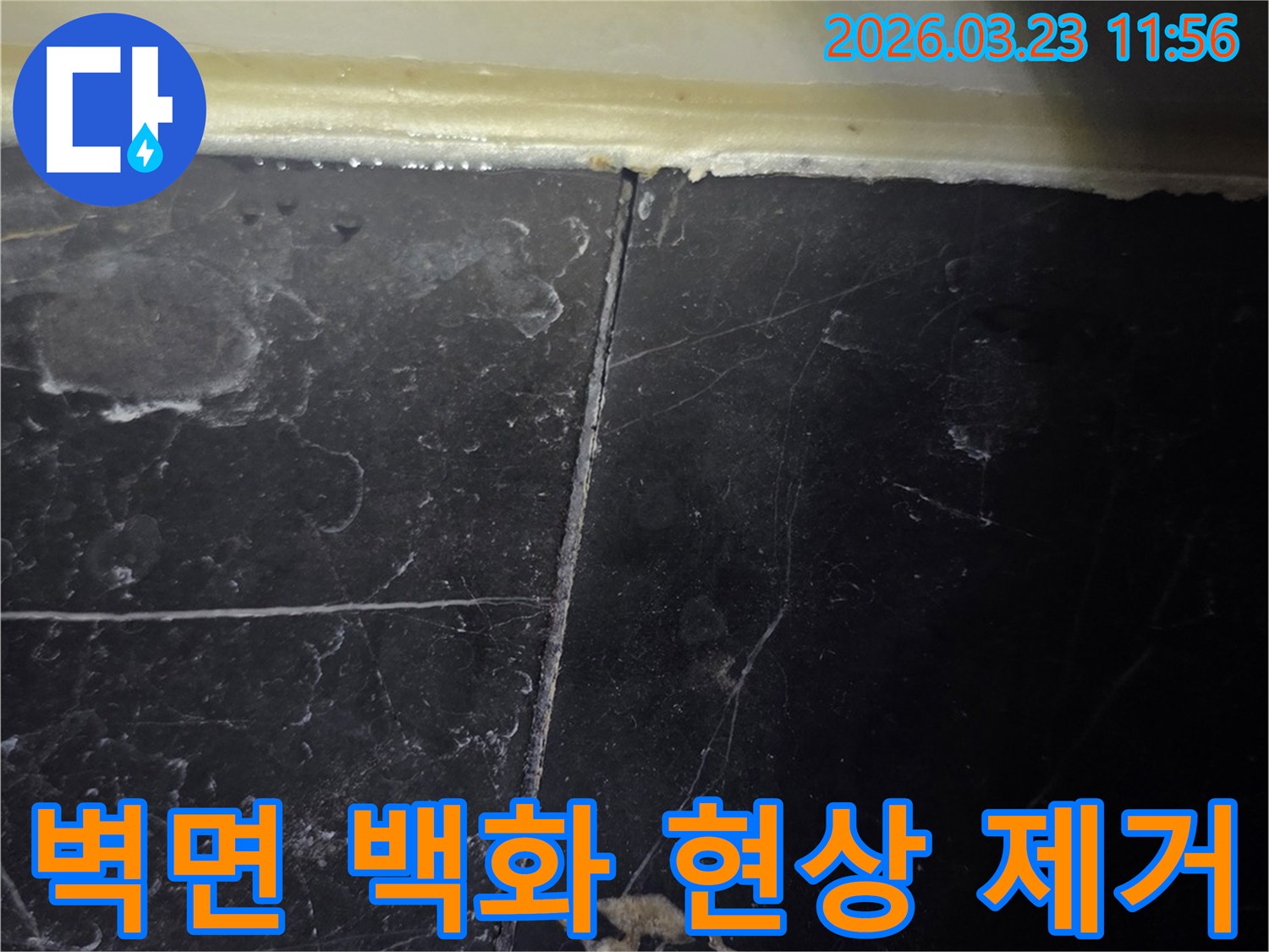 욕실 벽면 타일의-줄눈과 실리콘 마감 부위에서-물이 스며들어 생긴-백화 현상이 뚜렷하게 보입니다.
