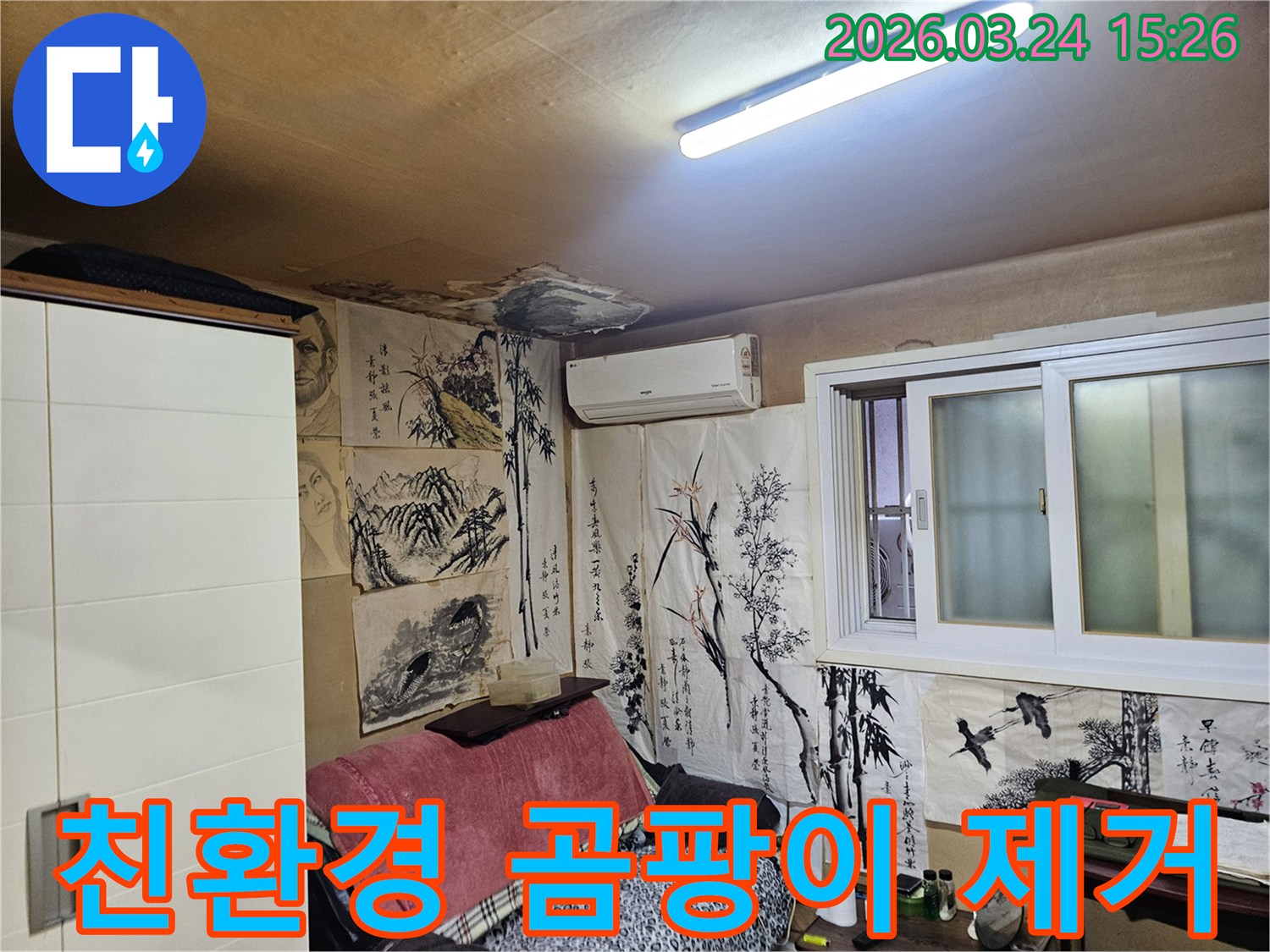 천장 누수로 인해-벽지와 마감재에 곰팡이가 생긴-현장에서 친환경 제거를 하는 모습입니다