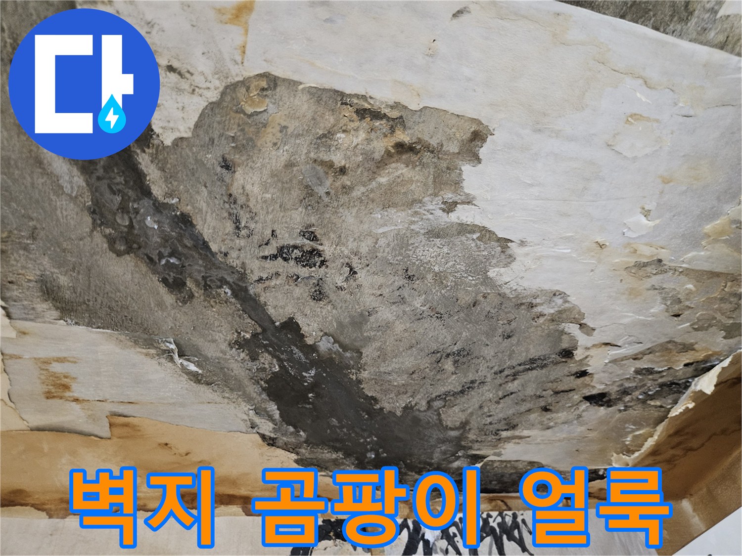 천장 벽지 표면에 나타난 검은 곰팡이와 물얼룩