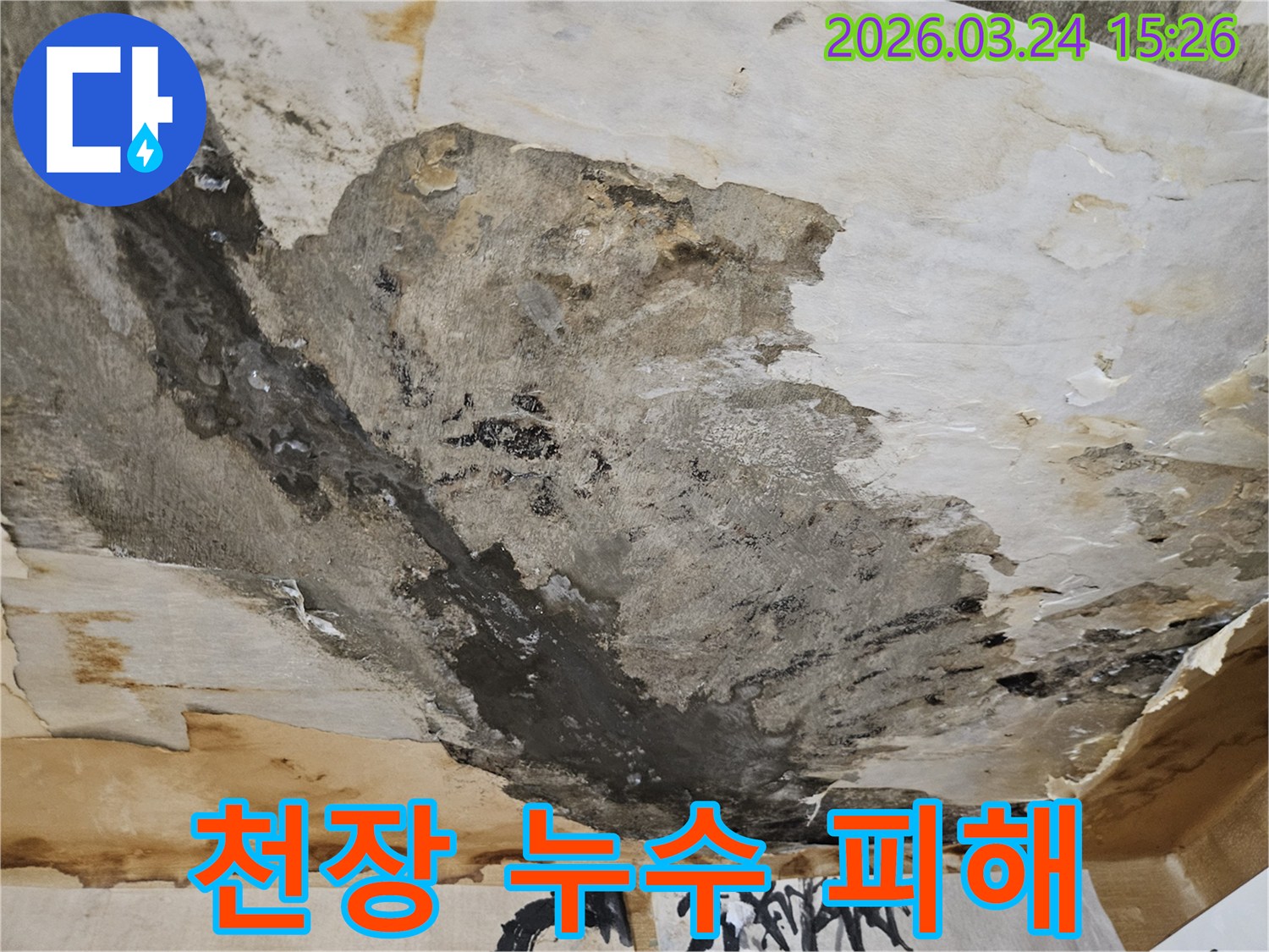 천장에서-물이-새어-벽지가-젖고-곰팡이가-피어난-심각한-누수-피해-현장입니다