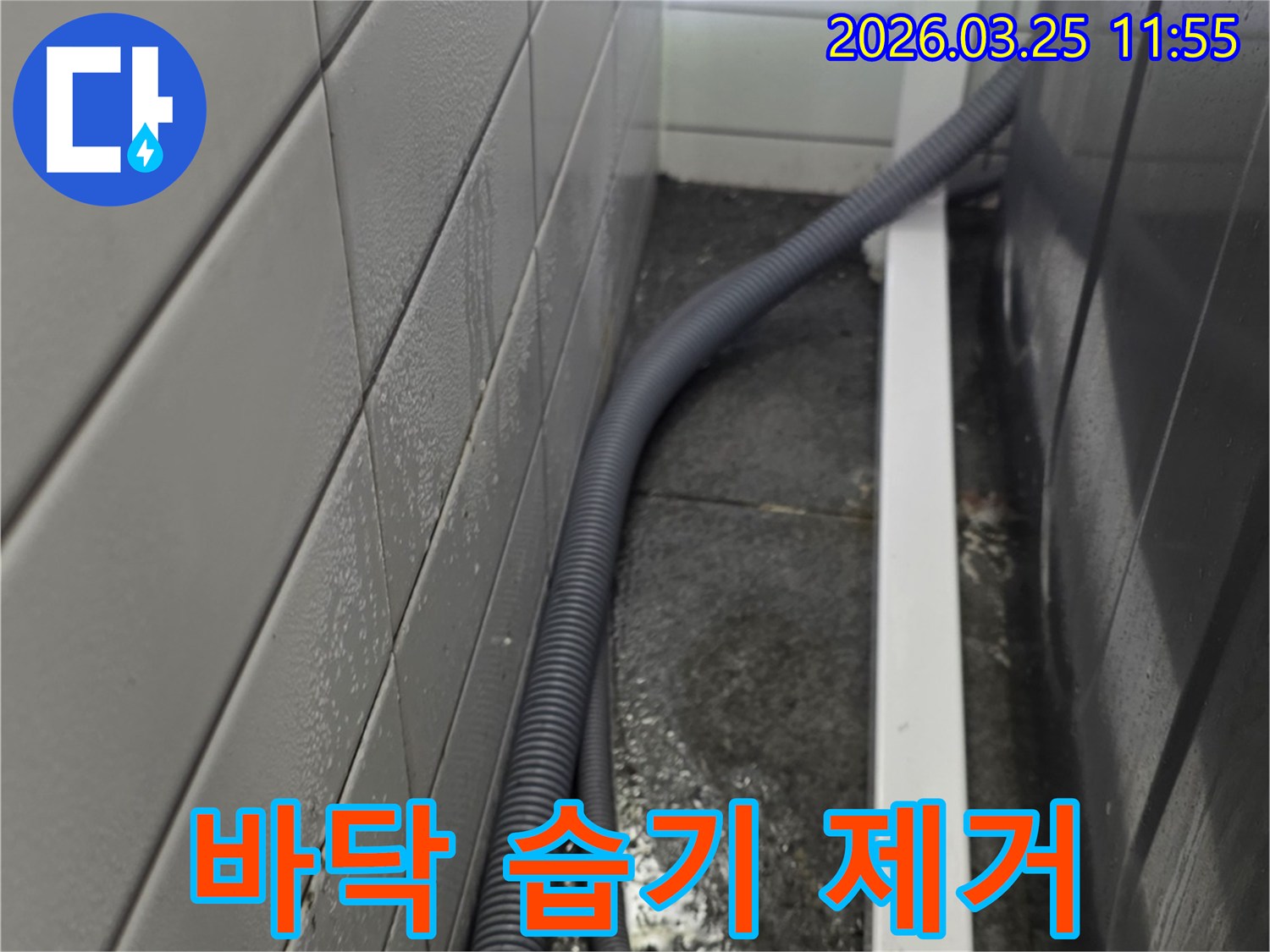 세탁실 바닥 타일 위에-고여있는 물과 습기를 보여주며-제거 및 관리가 필요한-누수 현장 이미지입니다.