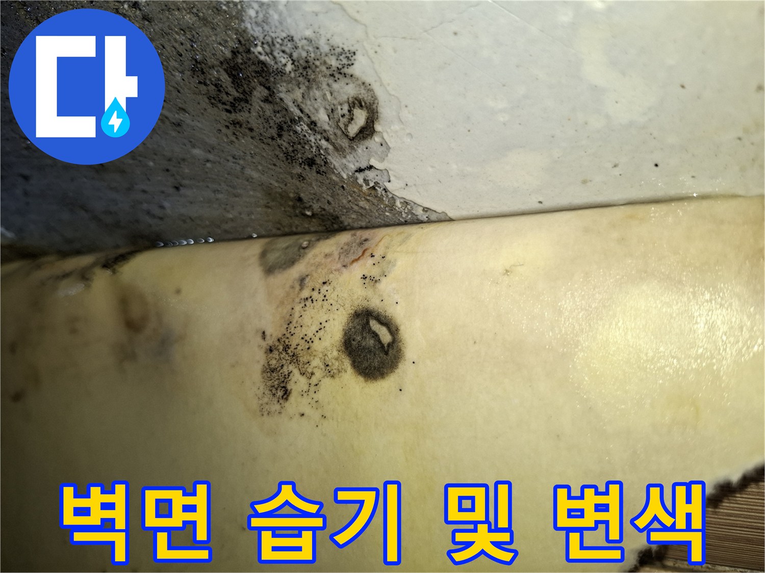 곰팡이가 번진 벽면과 젖은 자재 상태