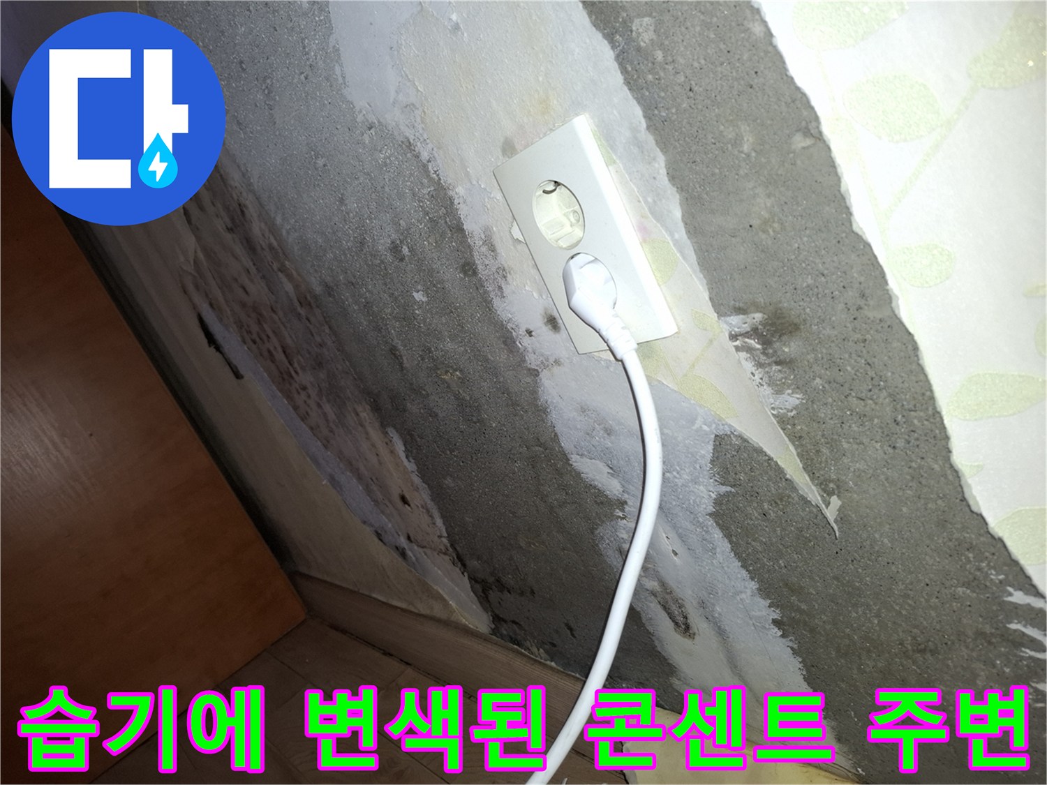 벽면 콘센트 부근의 젖은 벽지와 얼룩진 상태 사진