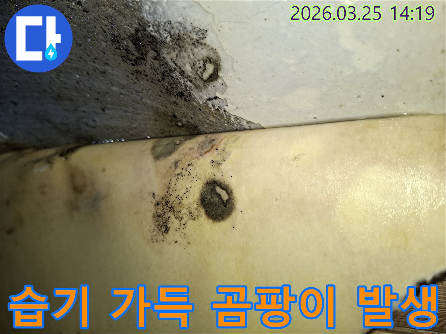 습기 가득한 환경에서-누수로 인해 벽면에 검은 곰팡이가 발생한 사진입니다.