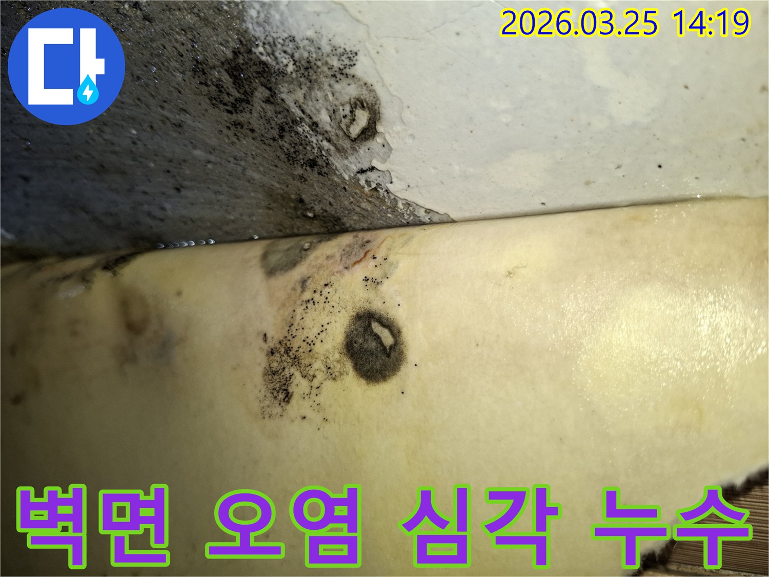 습기 가득한 환경에서-누수로 인해 벽면에 검은 곰팡이가 발생한 사진입니다.
