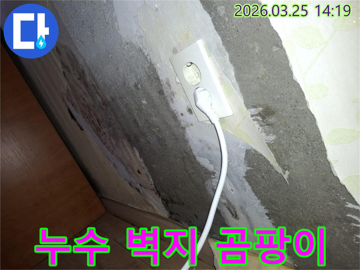 전기-콘센트-옆으로-물이-새어-벽이-손상되고-곰팡이가-피어난-심각한-누수-상황