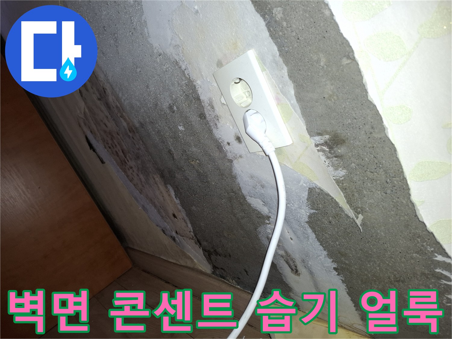 콘센트 주변의 젖은 벽면과 얼룩진 상태를 보여주는 사진입니다.