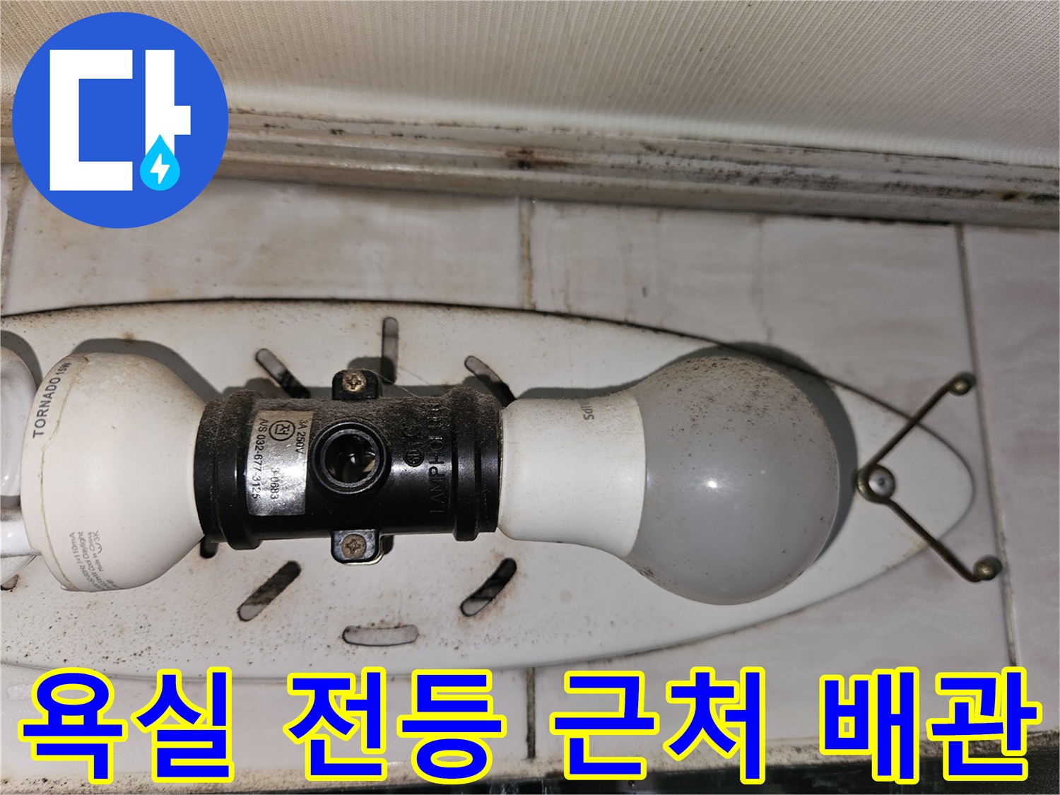 양천구 화장실 천장 부근의 조명과 배관 연결 상태를 보여주는 사진입니다.