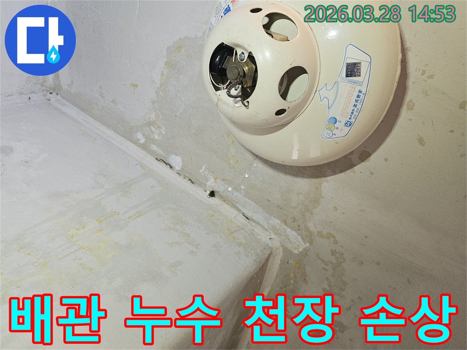 천장-온수기-주변에서-발생한-누수로-인해-벽과-천장-마감재가-심하게-손상되고-곰팡이가-핀-모습