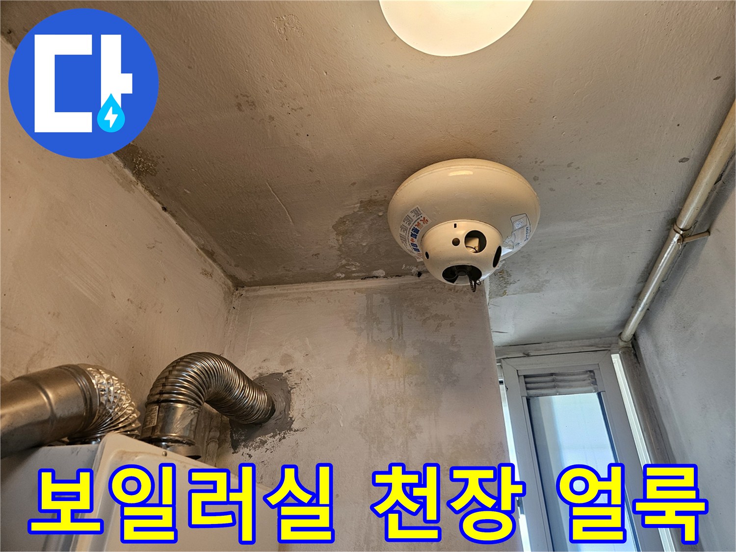 포천 일동면-보일러실 천장 전등 주변의 습기와 얼룩 상태
