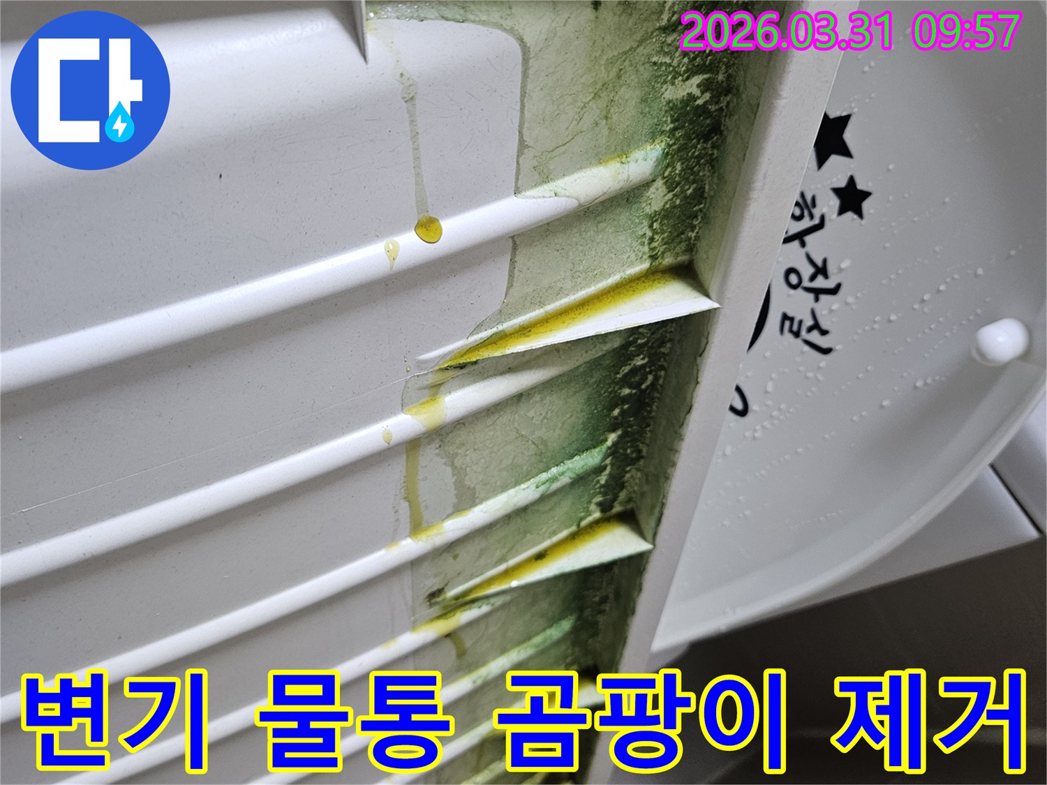 변기-물통-내부-표면에-발생한-초록색-곰팡이와-노란-오염물이-누수의-흔적을-보여줍니다