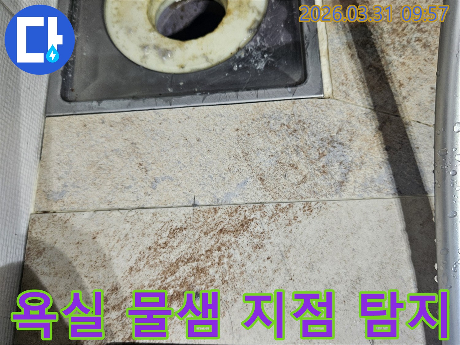 욕실 바닥의 배수구와-오염된 트랩-그리고 주변 타일의 물때는-물샘으로 인한 누수 지점 탐지의 필요성을 보여줍니다.