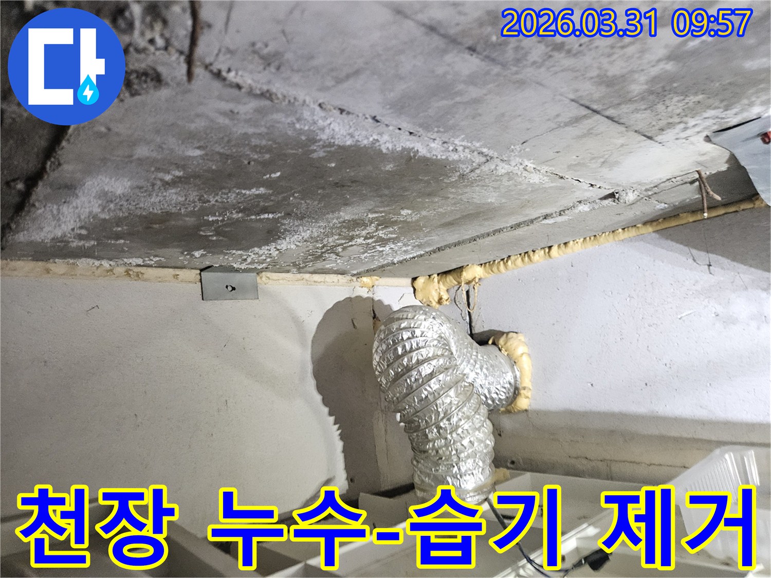 이 이미지는 인천 부평구 일신동 상가 건물 천장의 누수 현장에서-습기 문제를 해결하고-쾌적한 환경을 조성하기 위한-진단 과정을 보여줍니다.