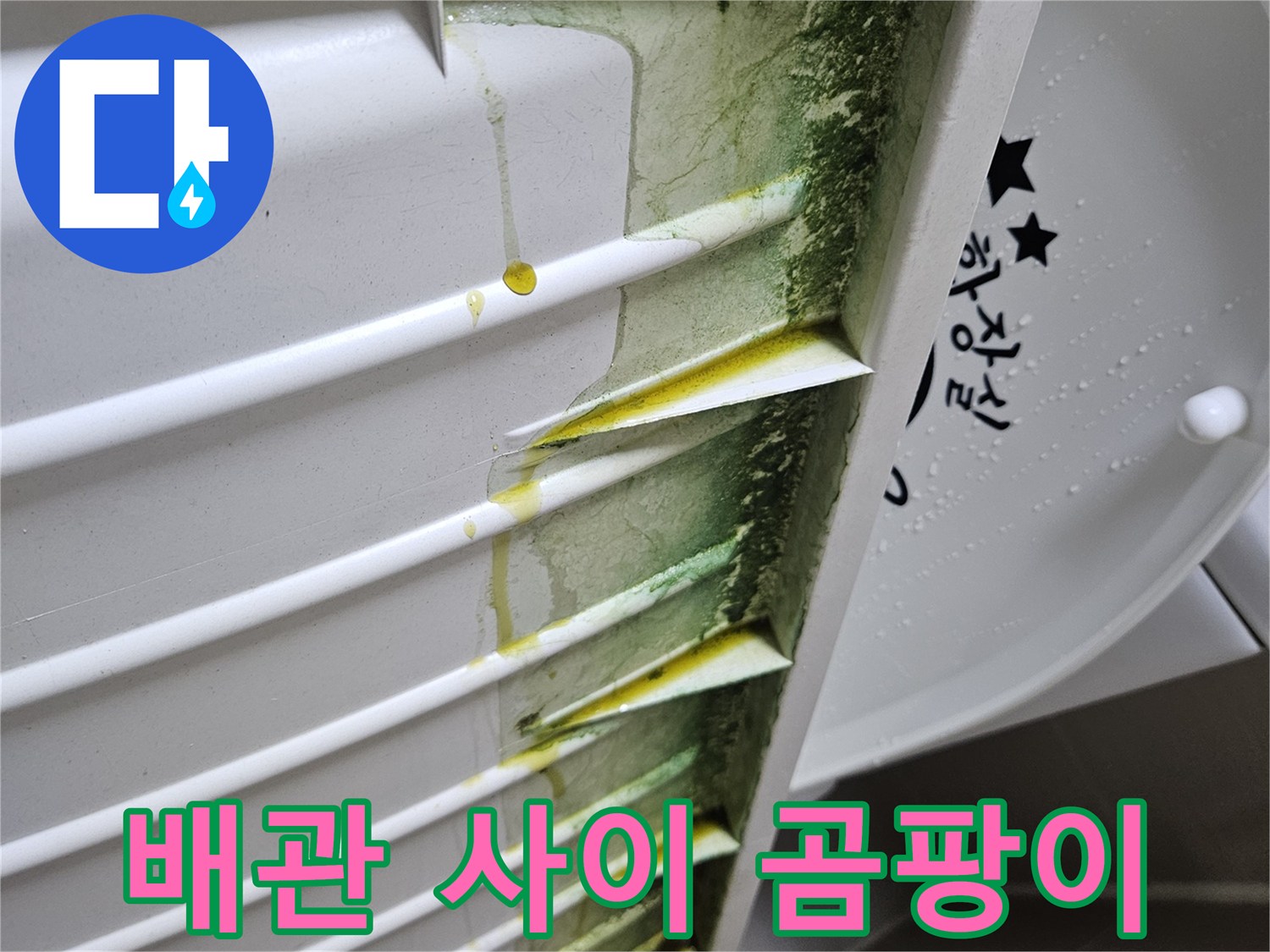 천장-배관-사이-틈새에-생긴-녹색-곰팡이와-누수-흔적
