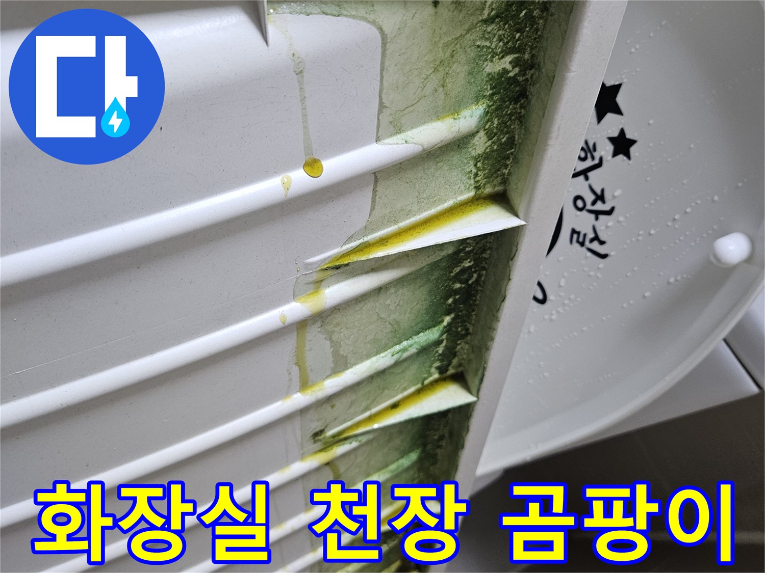 화장실-천장-마감재-내부-곰팡이와-습기-상태