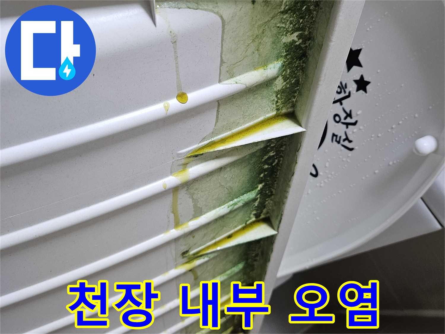 화장실-천장-틈새로-드러난-심한-물때와-곰팡이