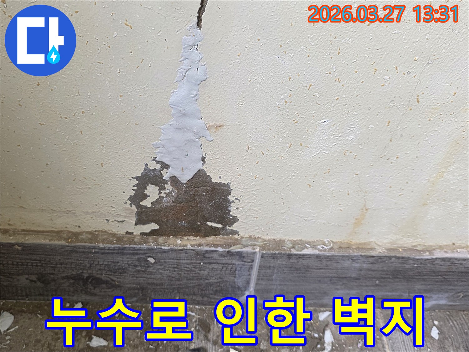 물에 젖어 벗겨진 벽지와 곰팡이가 생긴 벽면을 나타내는 사진